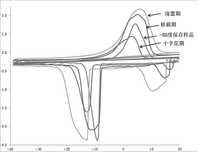 A method for judging freeze-drying pre-cooling temperature of tobacco leaf samples by utilizing eutectic point and eutectic point