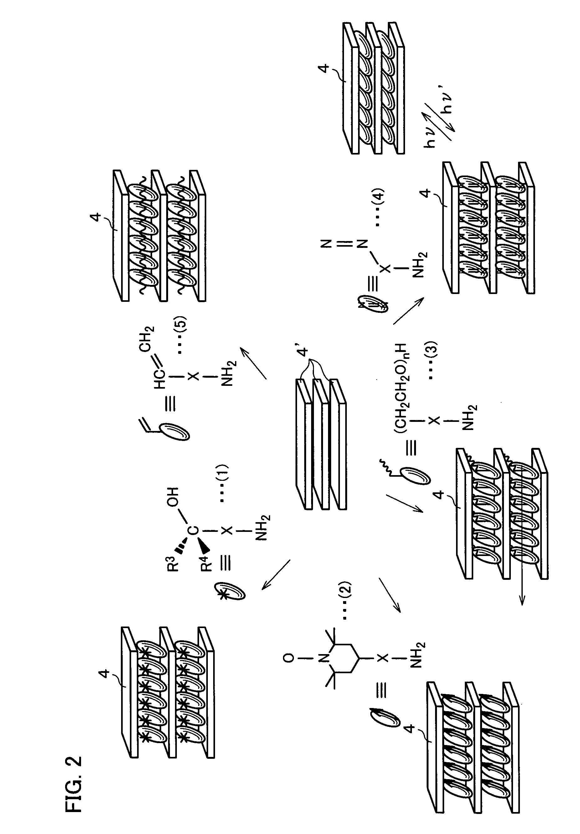 Photoresponsive polymer, built-up type diacetylene polymer, crystals of ammonium carboxylates, and processes for production of them