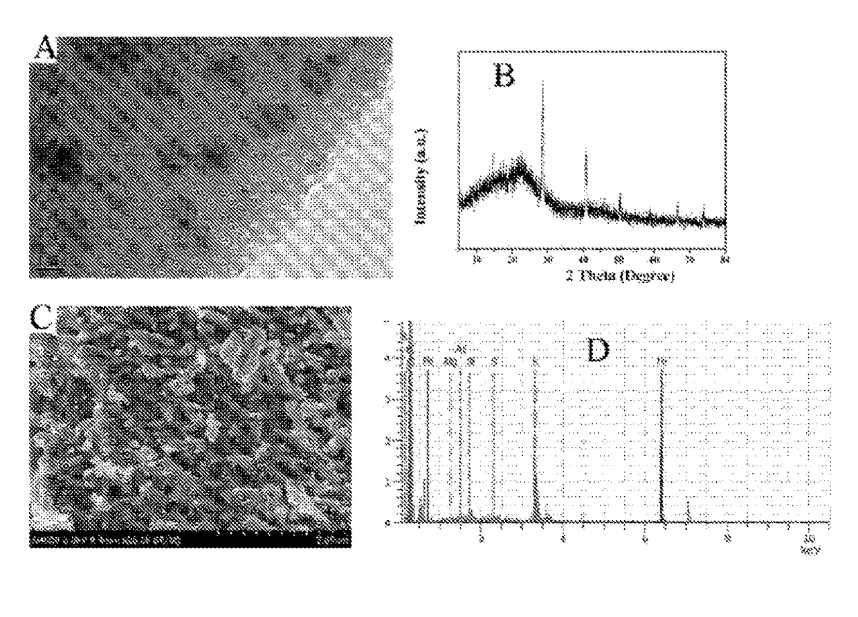 Iron-based biochar material, preparation therefor and use thereof in soil pollution control