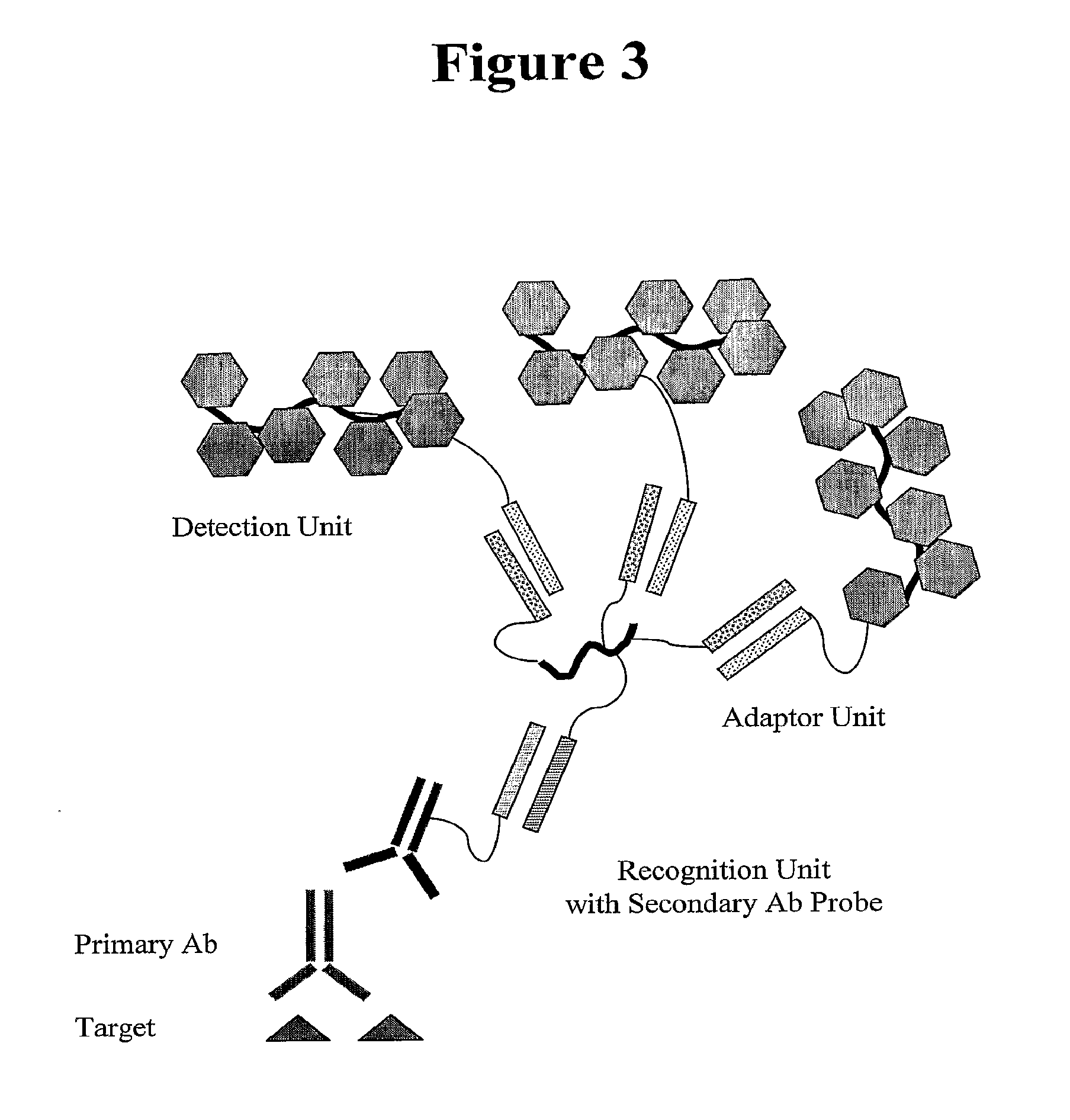 In situ hybridization detection method