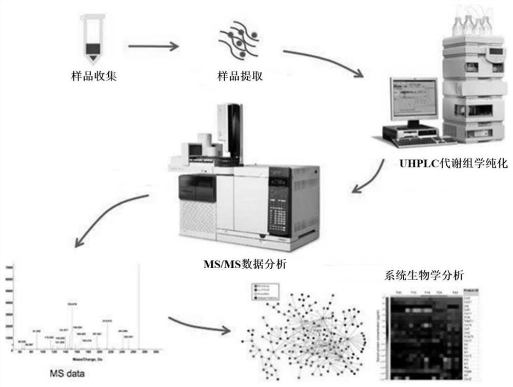 Application of metabolite detection marker in preparation of multiple myeloma diagnosis tool