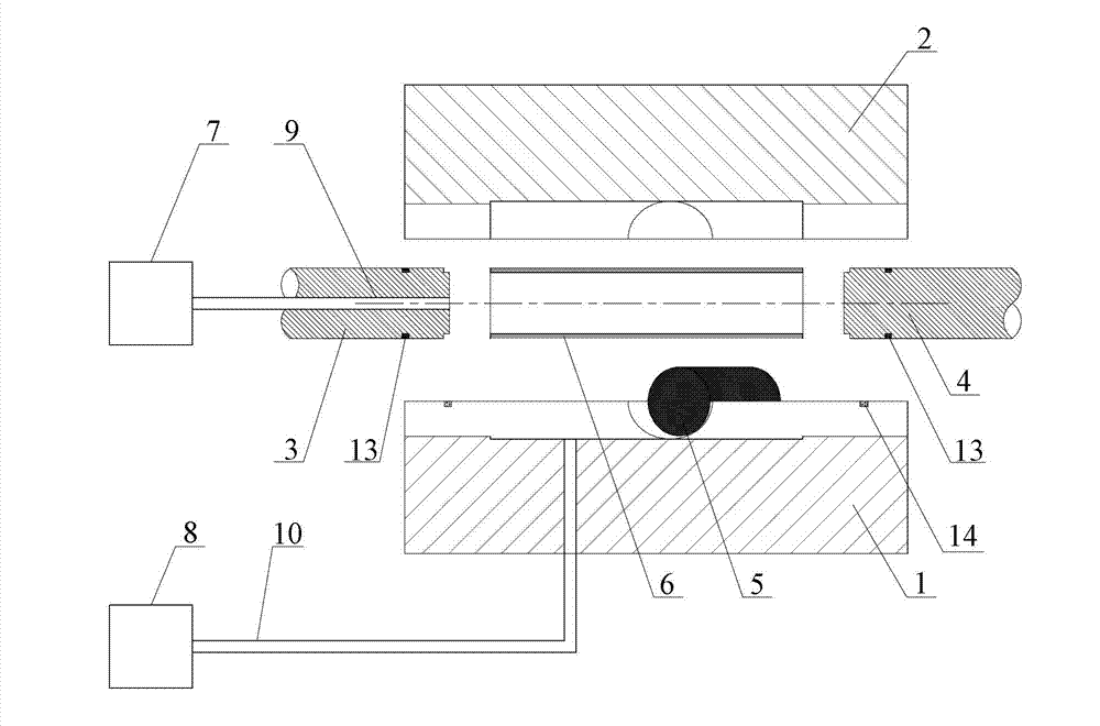 Composite inner and outer hydraulic pressure forming method for high-branch height thin-wall three-way pipe