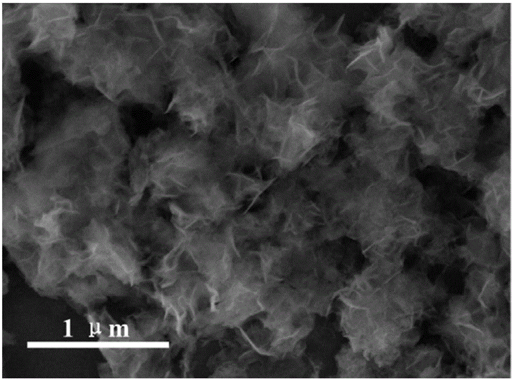 Nano thin sheet assembled nickel-iron hydroxide multistage microspheres and preparation method thereof