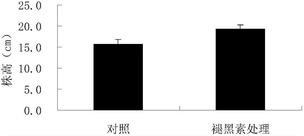 Method of using melatonin to improve acid-aluminum resistance of medicago sativa