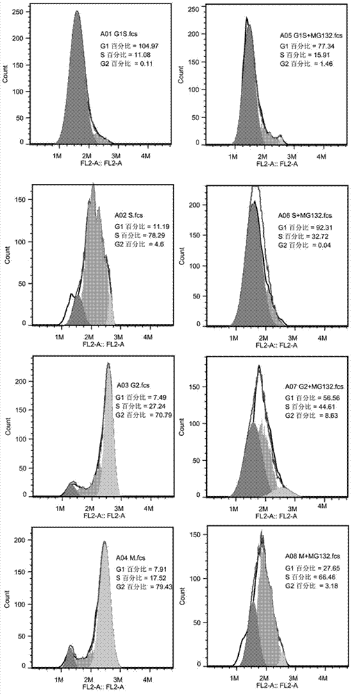 Novel application of KCTD12 protein in cell cycle control