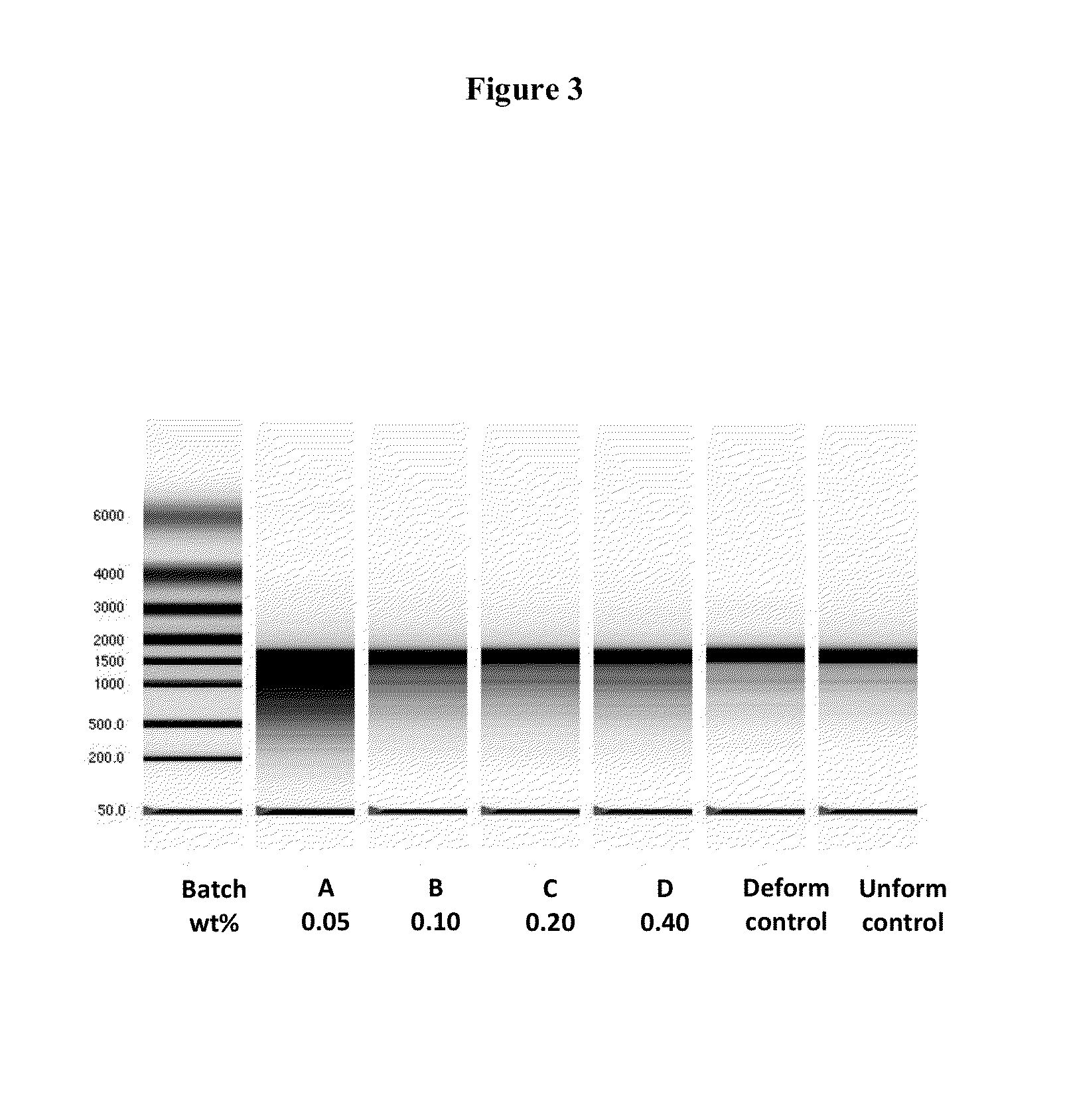 Modified nucleoside, nucleotide, and nucleic acid compositions