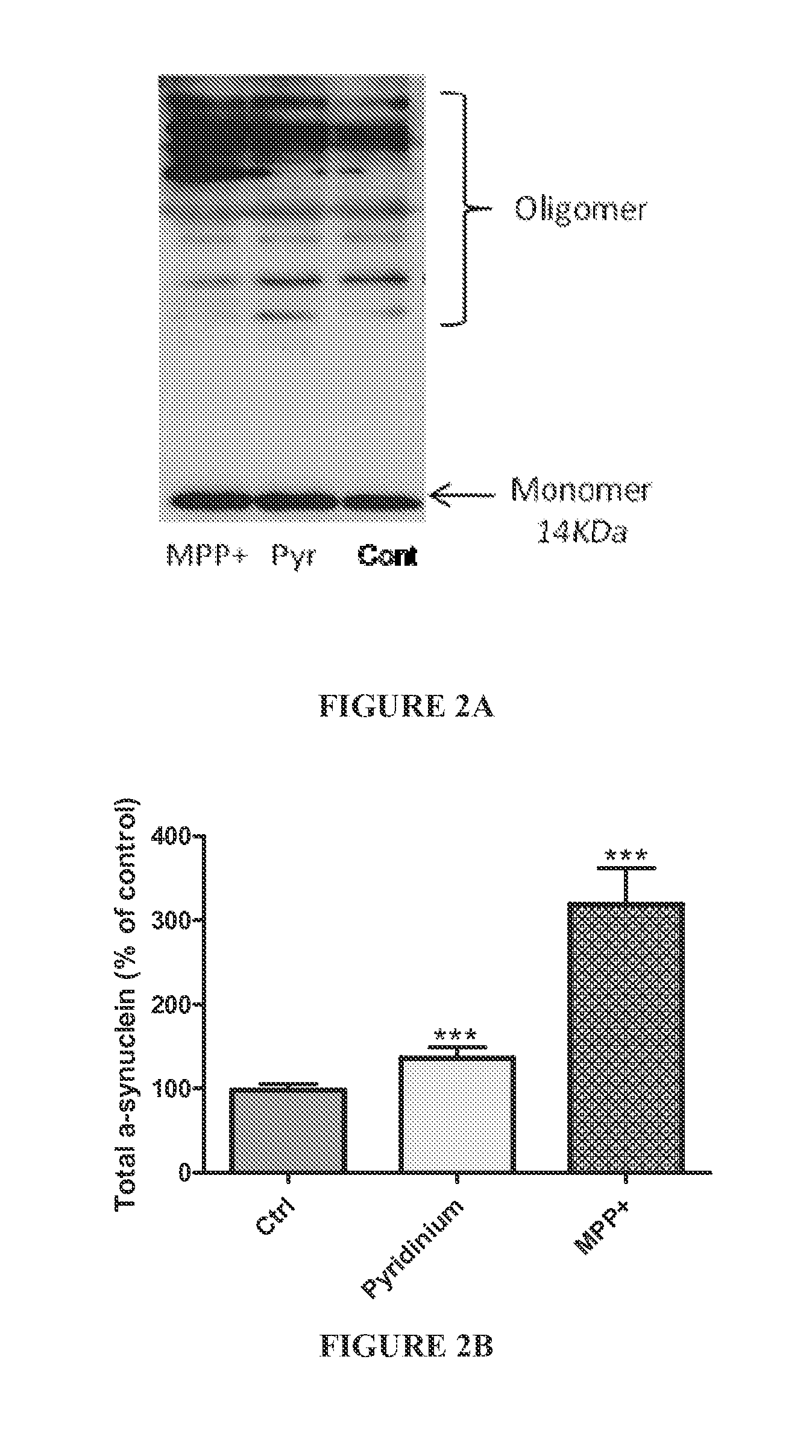 Chemical model of a neurodegenerative disease, method for preparation and uses of same
