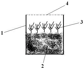 Method for preventing and treating facility vegetable bemisia tabaci through eretmocerus sp