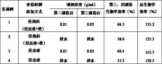 Pleurotus citrinopileatus cultivation method