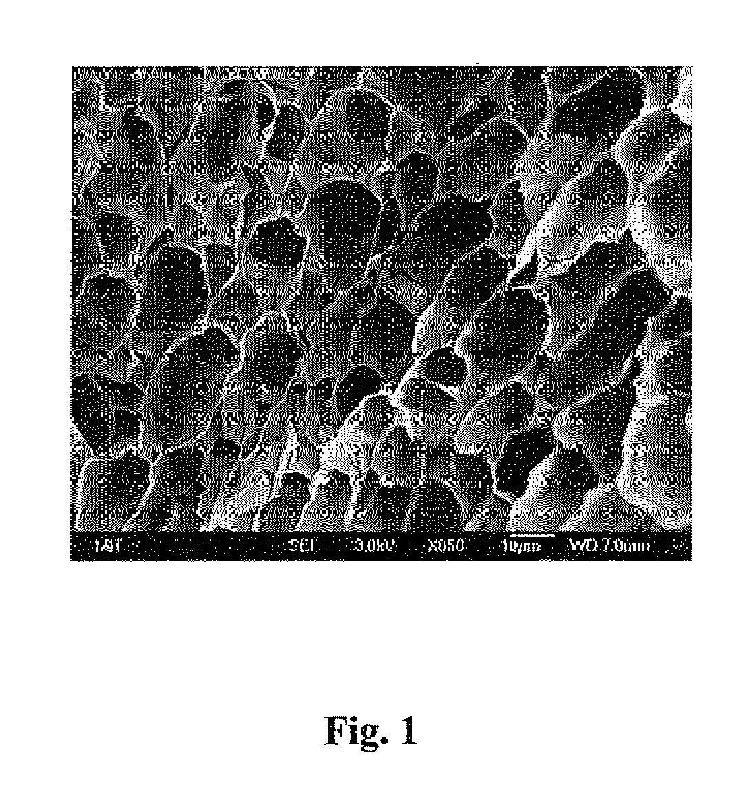Compositions And Methods For Inhibiting Adhesions