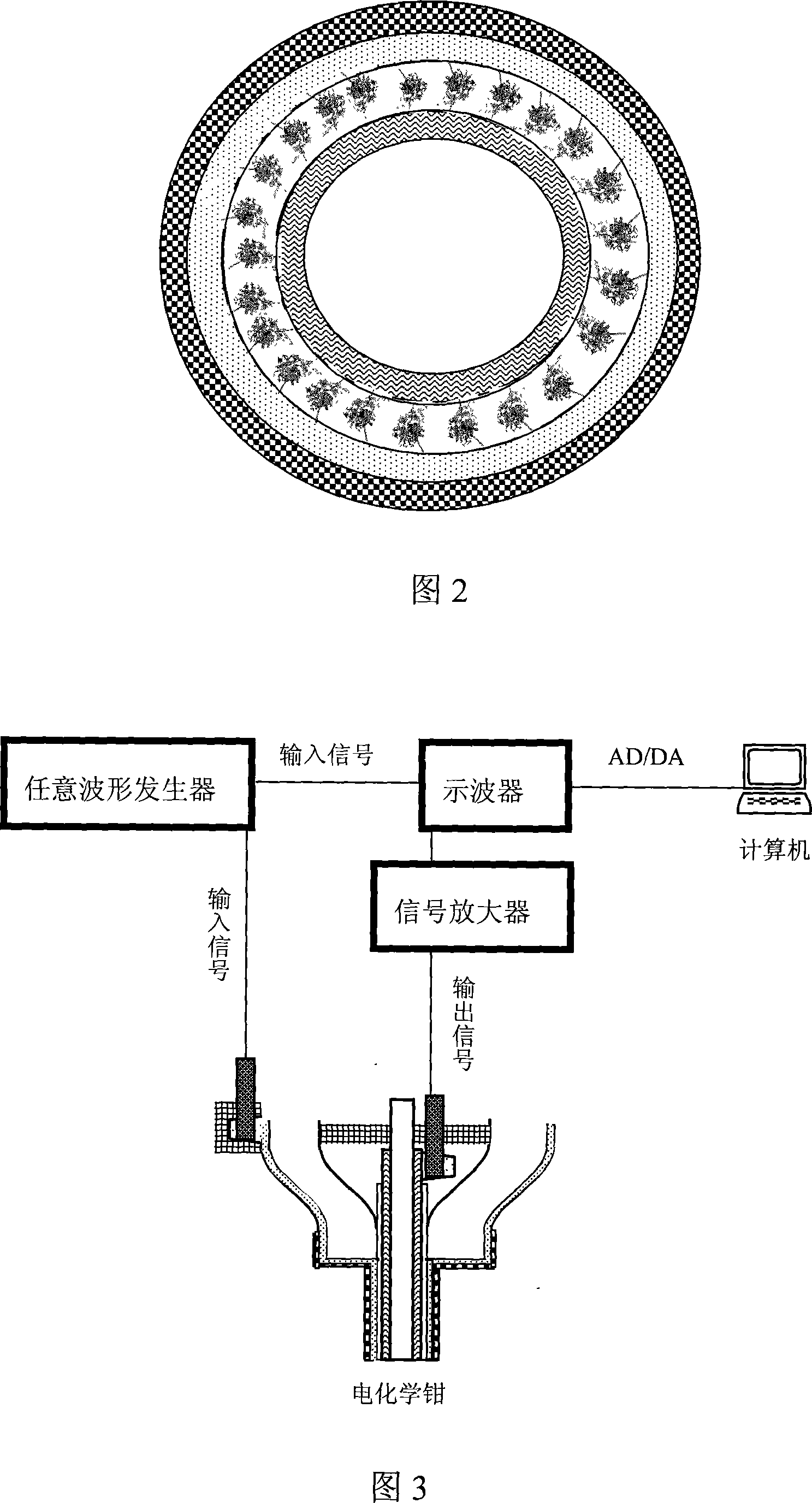 Electrochemical tongs for developing protein molecule electronic device and method for producing the same