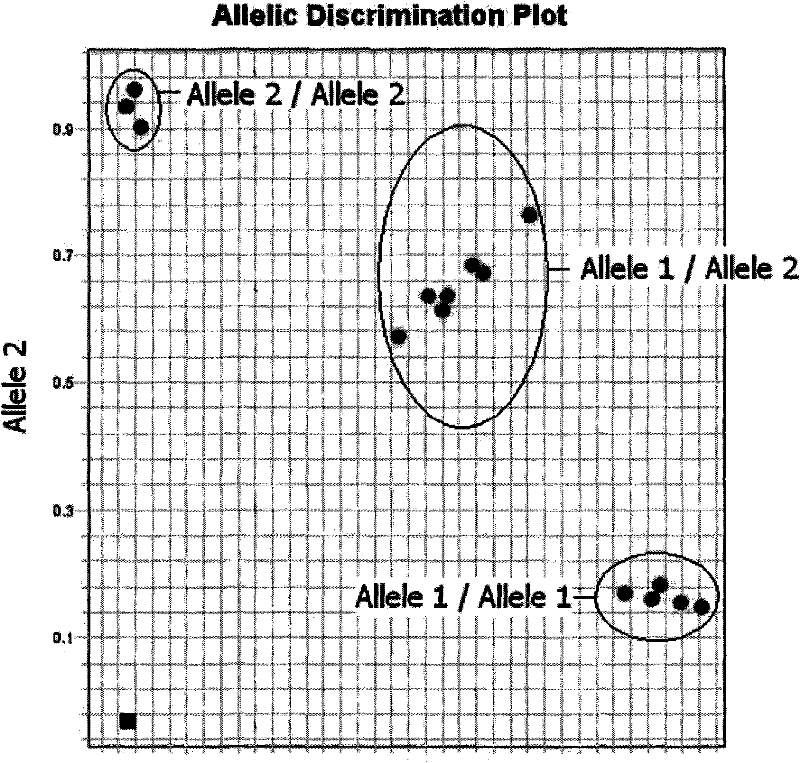 HPA allelic gene typing detection reagent kit