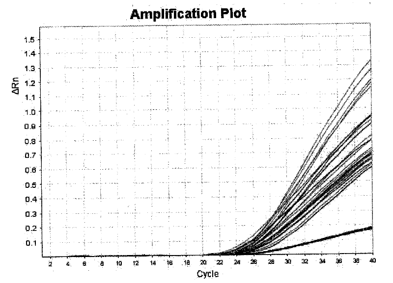 HPA allelic gene typing detection reagent kit