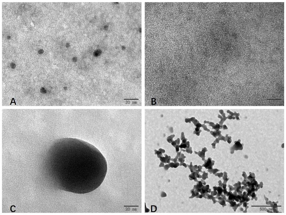 Preparation method and application of manganese ion-CpG oligonucleotide nanoparticles