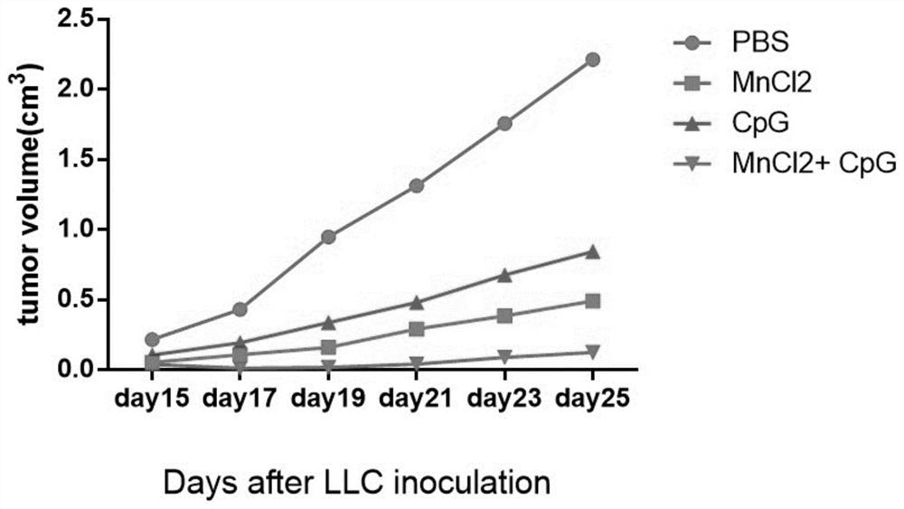 Preparation method and application of manganese ion-CpG oligonucleotide nanoparticles