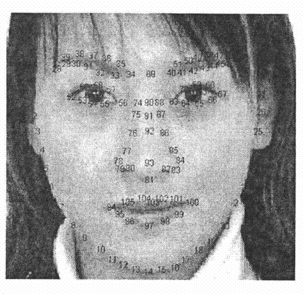 Sparse Representation Face Recognition Method Combining Shape Features