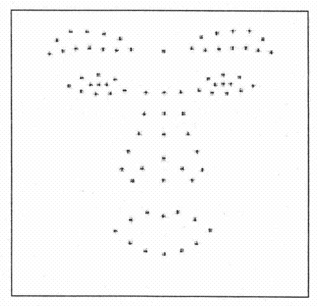 Sparse Representation Face Recognition Method Combining Shape Features