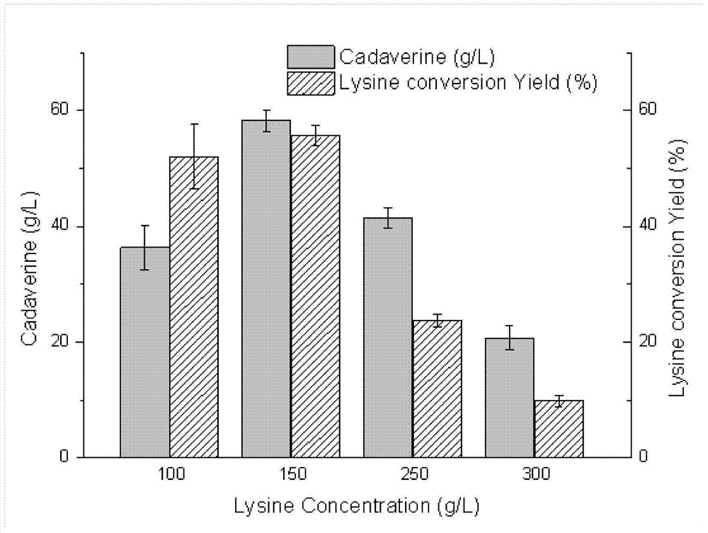 Recombinant expression vector and application thereof