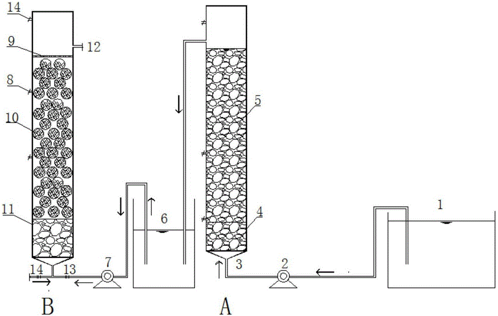 Reclaimed water deep denitrification and dephosphorization method based on low C/N ratio