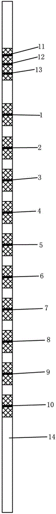 Western blot kit for detecting antibody of autoimmune disease and preparation method thereof