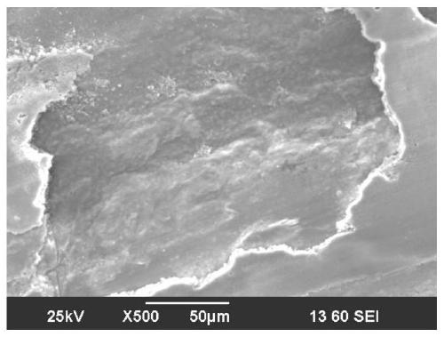 A kind of water-based nano-lubricant based on graphene oxide rolling and preparation method thereof