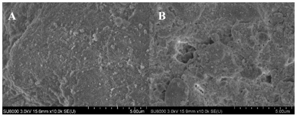 Catalytic ozonation-based pretreatment method for acid wastewater containing water-soluble polymer hard to degrade