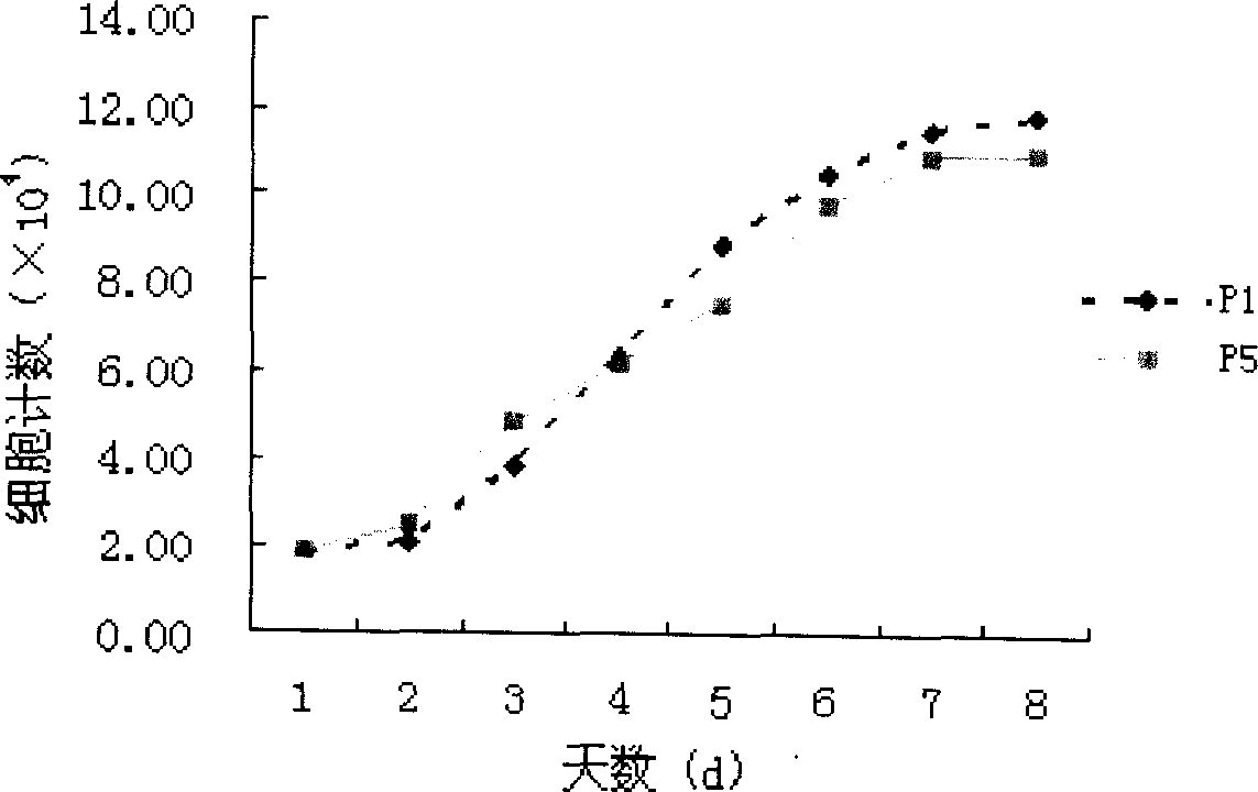 Method for sorting human marrow mesenchymal stemcell by monoclonal antibody ZUF10 immunomagnetic bead