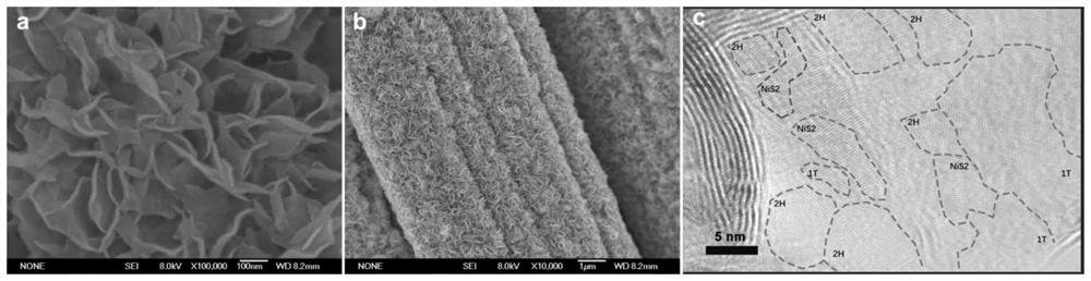 Metal phase molybdenum disulfide-based in-plane heterostructure, self-supporting electrode, preparation method and application