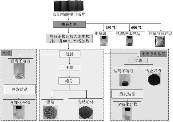 A method for recovering valuable components from waste lithium cobalt oxide battery positive plates