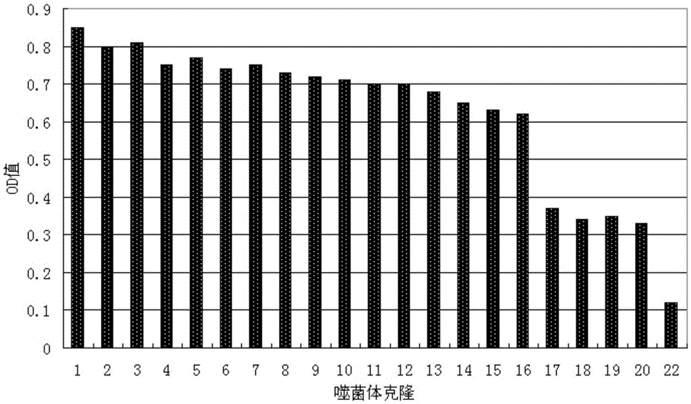 Short peptides PCP7 specifically binding to prostatic cancer cells and application of short peptides PCP7