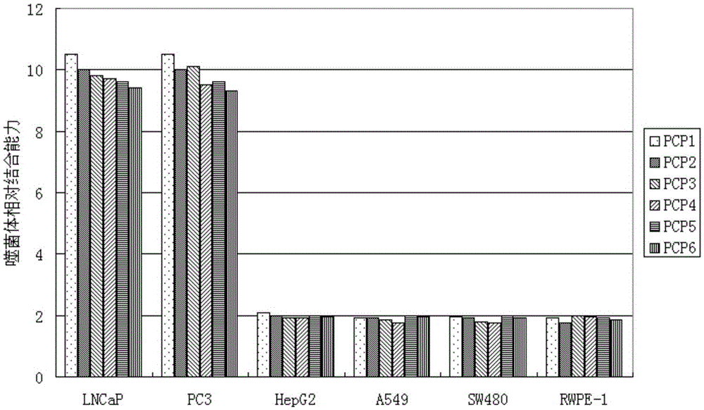 Short peptides PCP7 specifically binding to prostatic cancer cells and application of short peptides PCP7