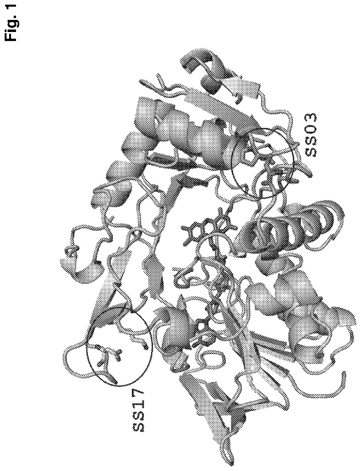 Thermostabilized amadoriases and uses thereof