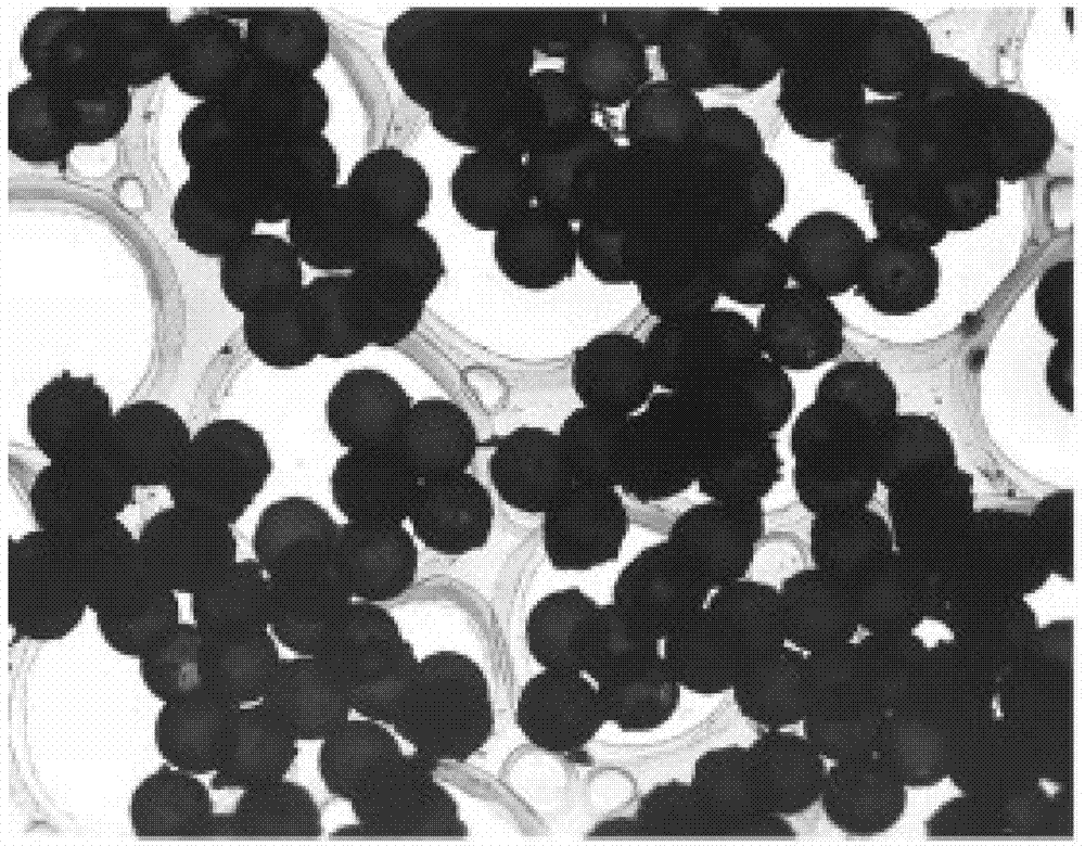 Method for preparing sustained-release silver-based antibacterial agent
