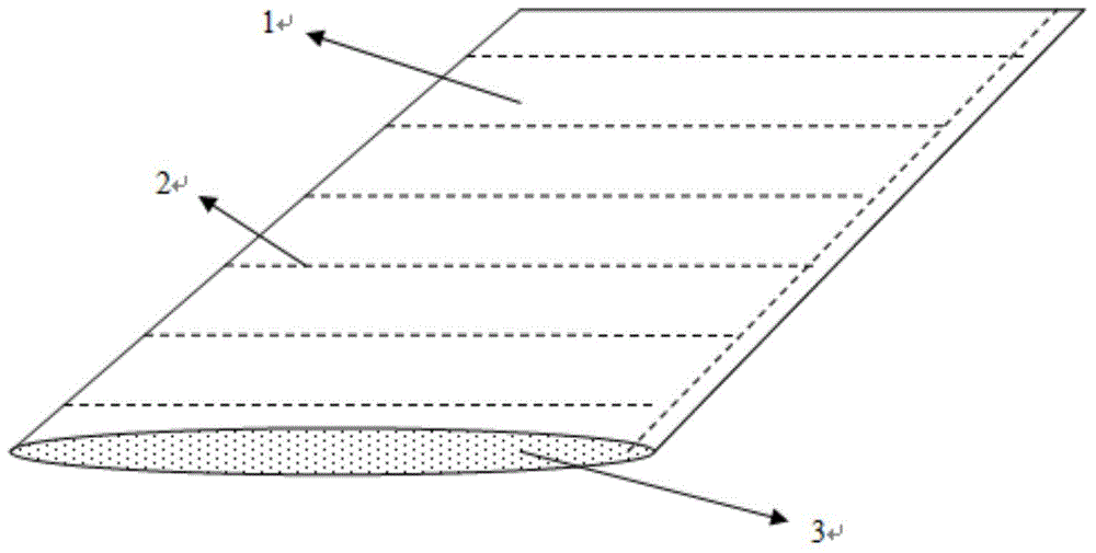 Sea grass bottom laying planting method