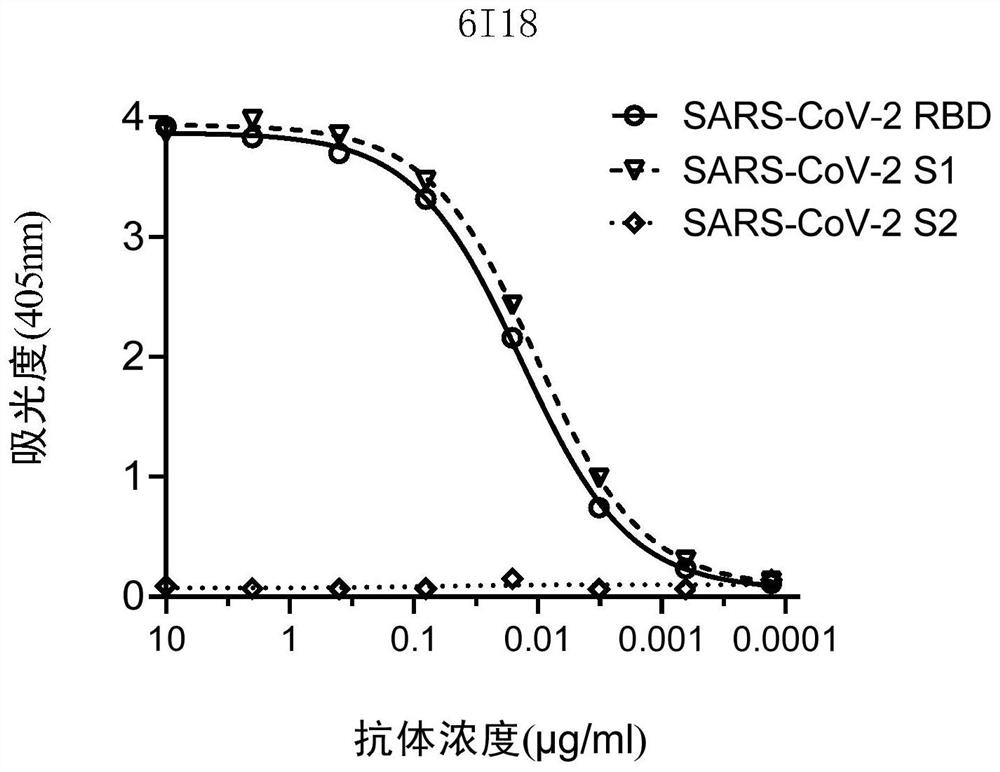 Neutralizing antibody of coronavirus or antigen-binding fragment thereof