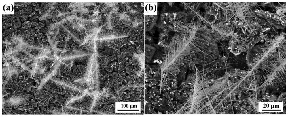 In situ preparation of 3D carbide nanowire arrays by immersion pyrolysis and magnetic pulling of precursors