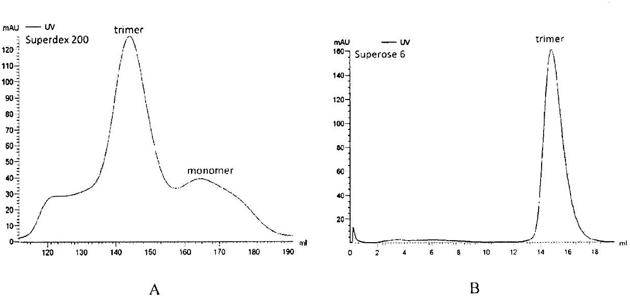 Potential preparation method for highly-efficient recombinant HIV-1 CRF07-BC gp140 immunogen