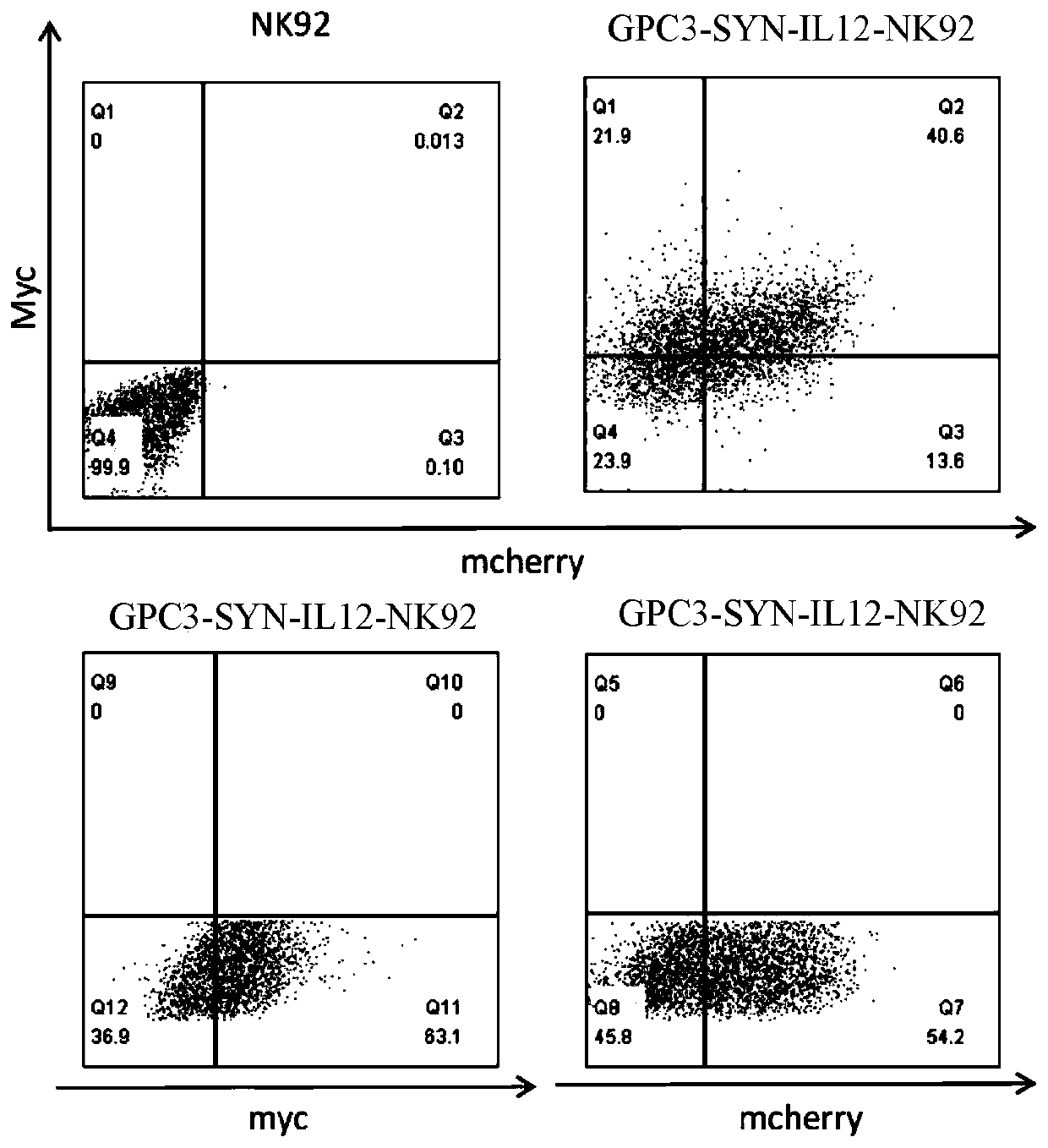 Plasmid carrier pair and immune cells modified by same, and application thereof