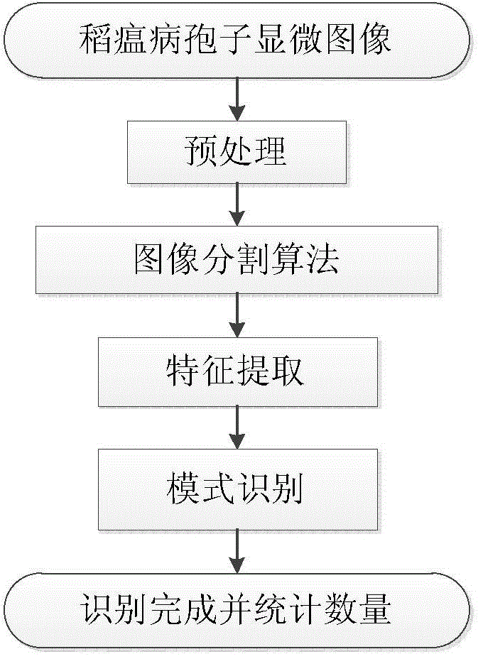 Image processing and mode recognition technology-based rice blast spore microscopic image recognition method