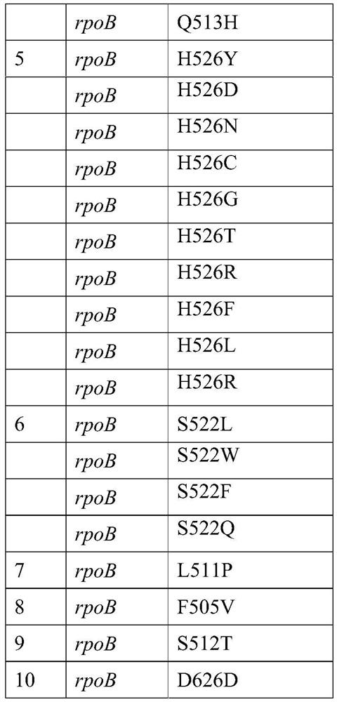 Related gene, method, primer group and kit for identifying mycobacterium tuberculosis complex flora and detecting drug resistance