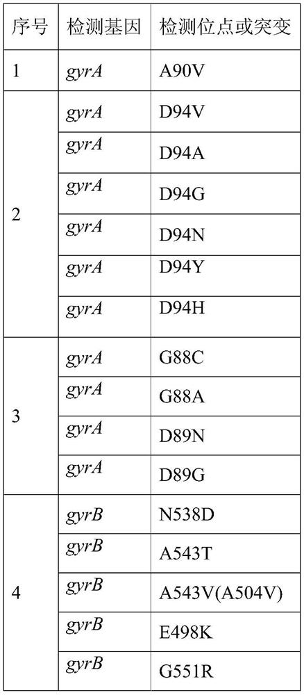 Related gene, method, primer group and kit for identifying mycobacterium tuberculosis complex flora and detecting drug resistance