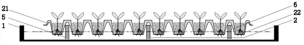 Equipment and method for identifying salt tolerance of plant at seedling stage