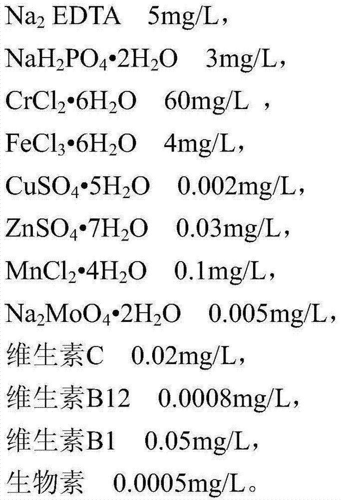 Super-green seawater pearl cultivation method