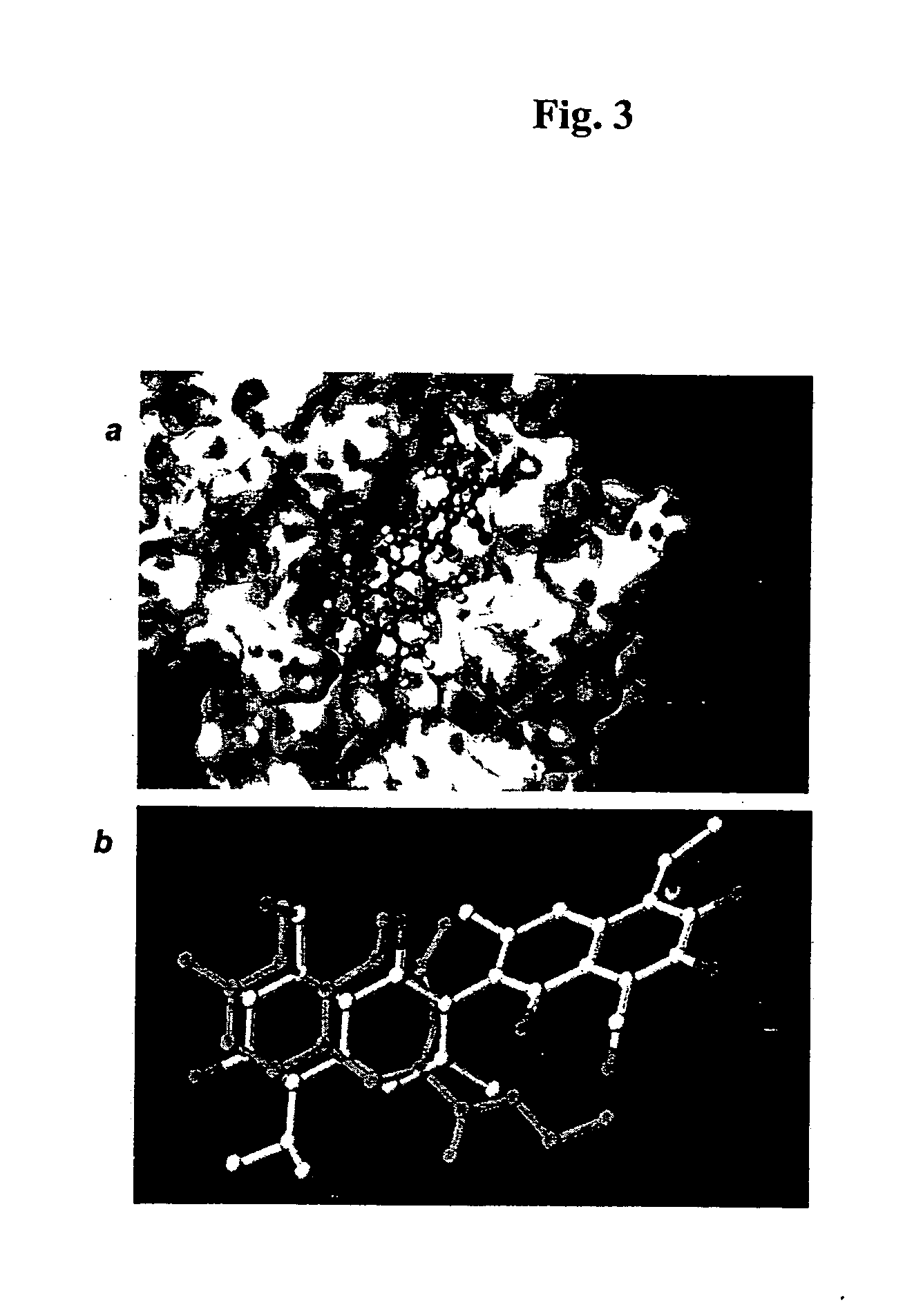 Methods and compounds useful to induce apoptosis in cancer cells