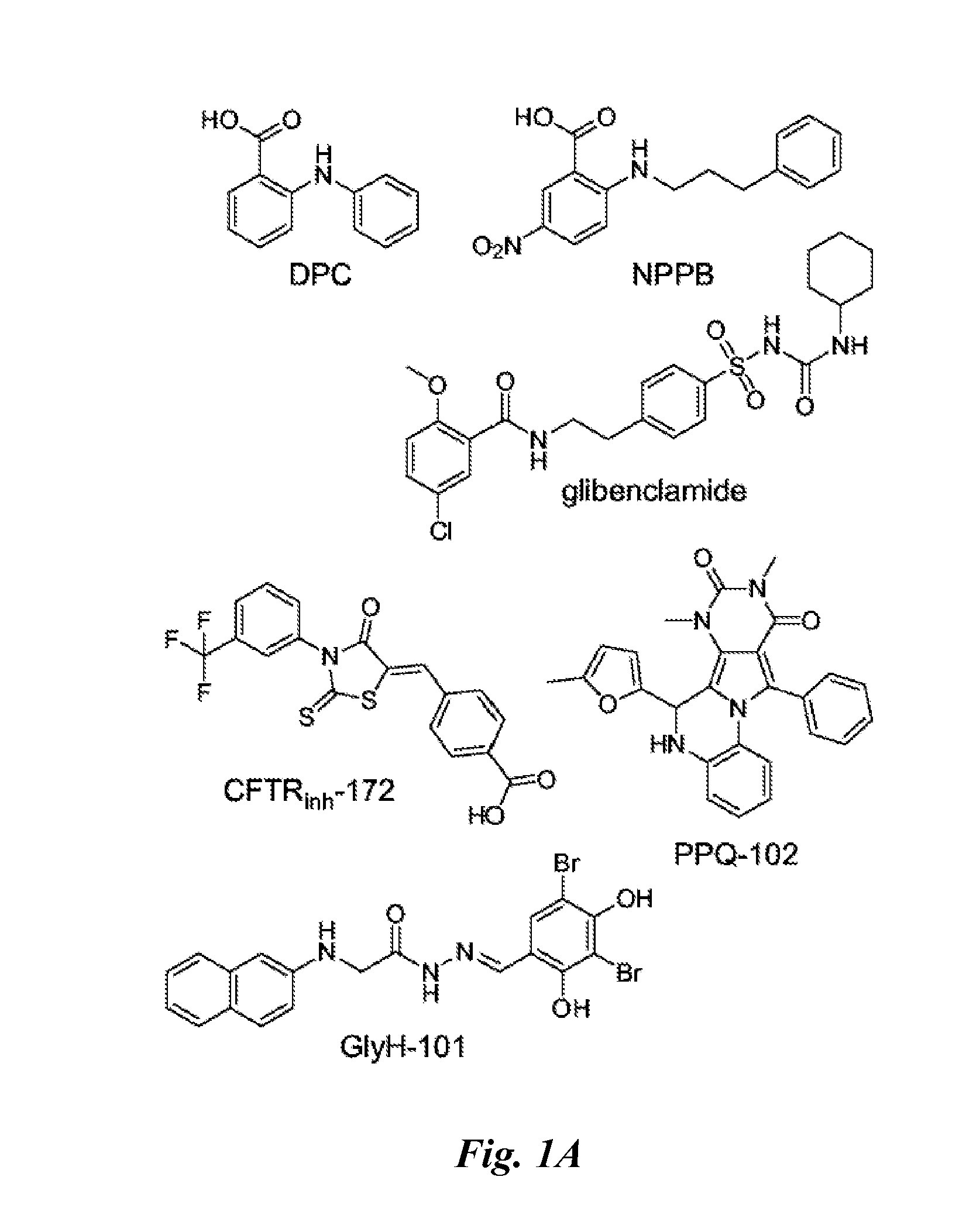 Pyrimido-pyrrolo-quinoxalinedione inhibitors of cystic fibrosis transmembrane conductance regulator protein and uses therefor