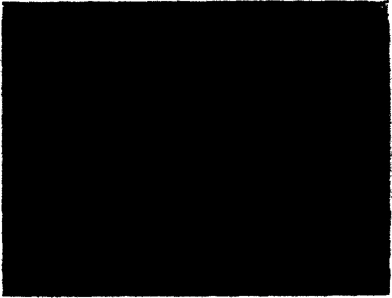 Method for preparing ceramic coating layer