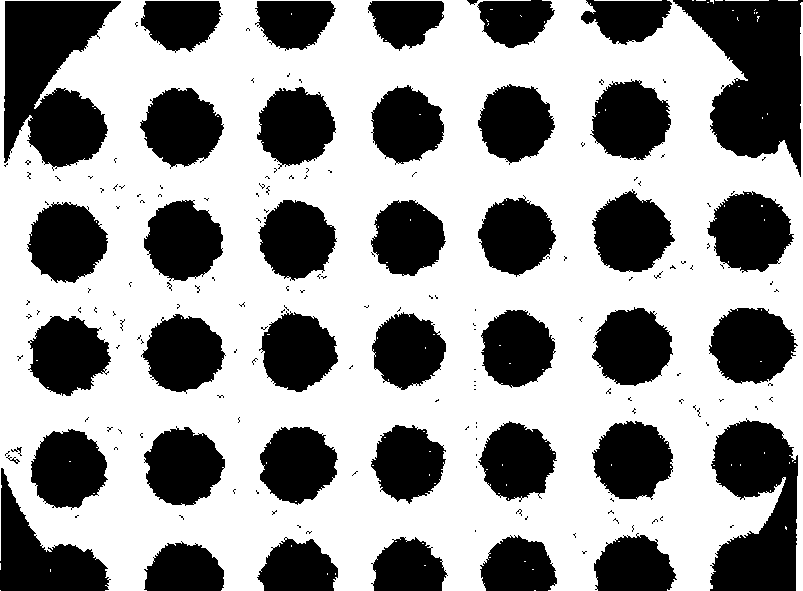 Method for manufacturing silicon microchannel plate secondary electron emission layer