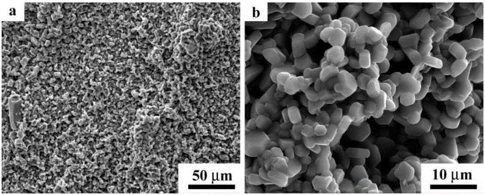 Method for preparing SiC (silicon carbide) coating with fine grains on surface of C/C (carbon/carbon) composite