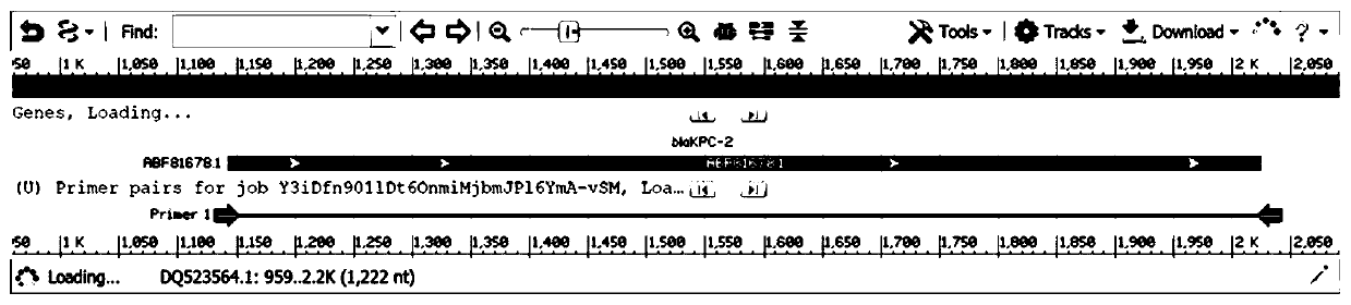 Primers, method and kit for detecting carbapenemase blaKPC gene