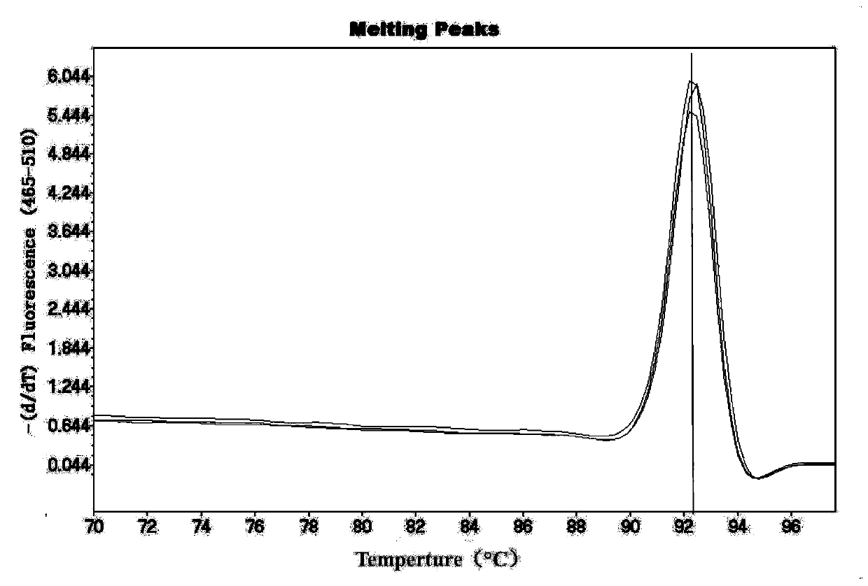 Primers, method and kit for detecting carbapenemase blaKPC gene